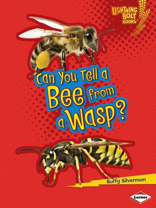Title details for Can You Tell a Bee from a Wasp? by Buffy Silverman - Available
